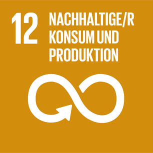 SDG icon DE 12.jpg
