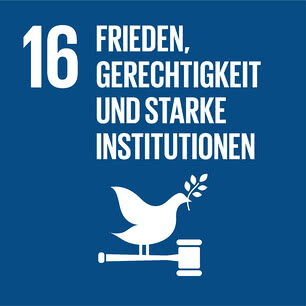 SDG icon DE 16.jpg