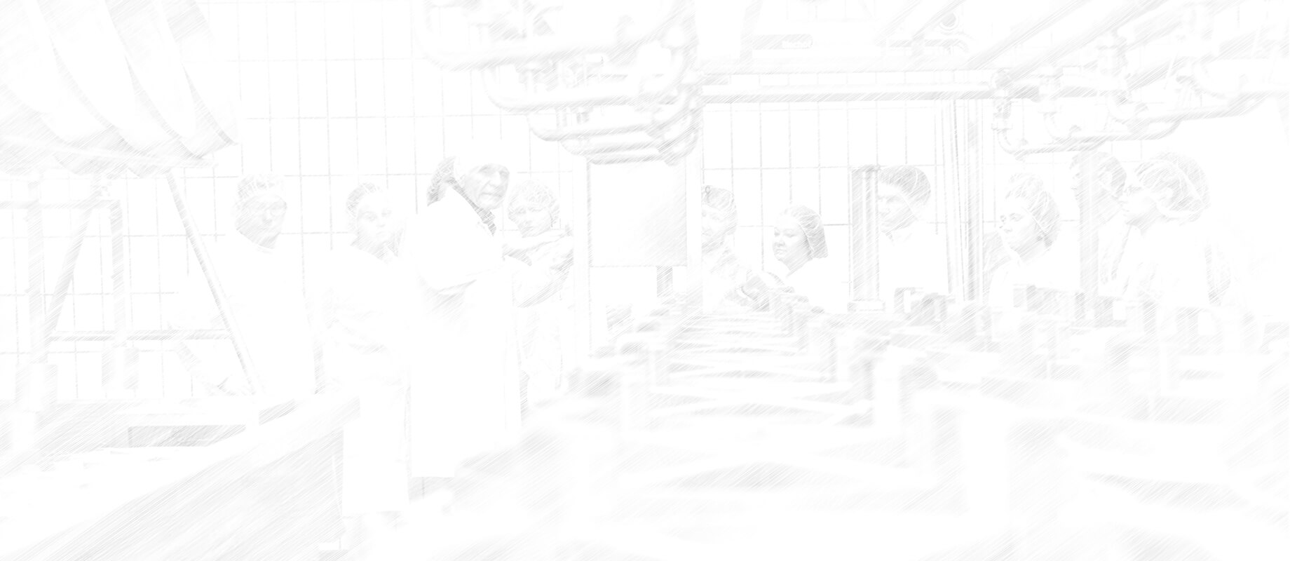 Seminar Schraffur 4000x1740